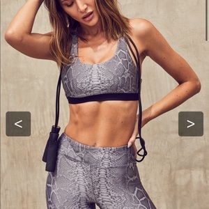 NWT koral snakeskin sports bra